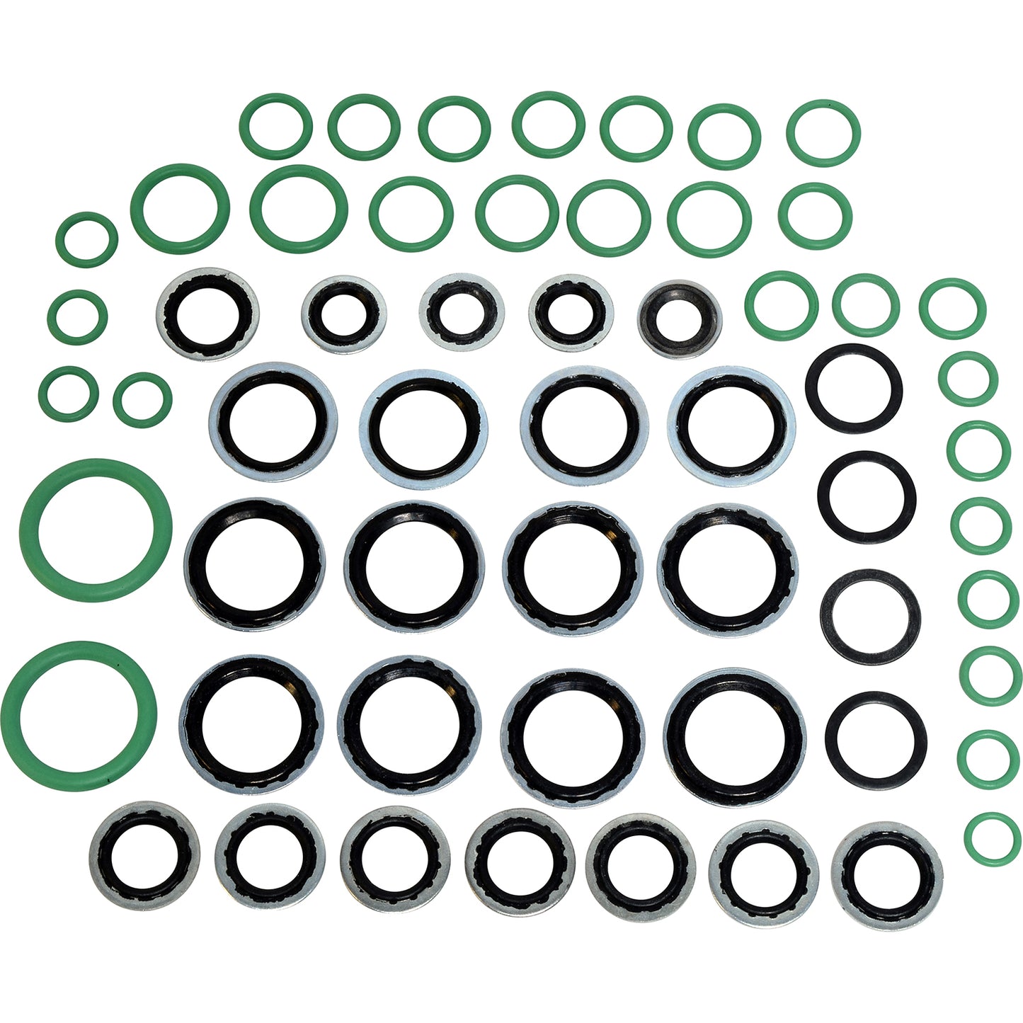 Rapid Seal Oring Kit