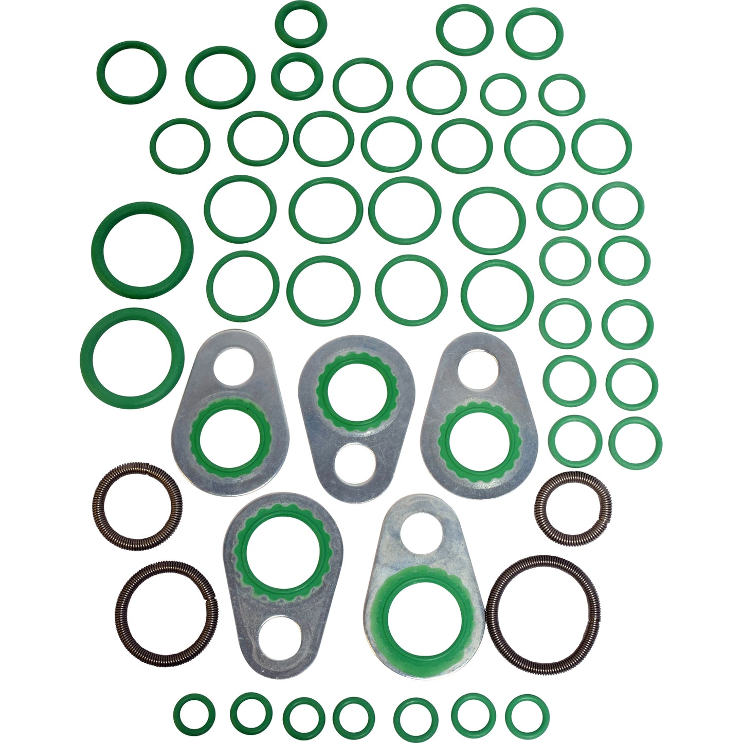 Rapid Seal Oring Kit