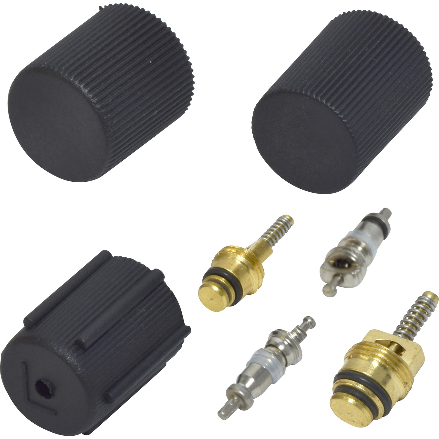 Valve and Cap Kit