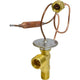 Thermal Expansion Valve
