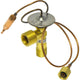 Thermal Expansion Valve
