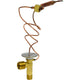 Thermal Expansion Valve
