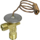 Thermal Expansion Valve
