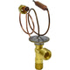 Thermal Expansion Valve