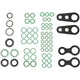 Rapid Seal Oring Kit