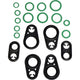 Rapid Seal Oring Kit