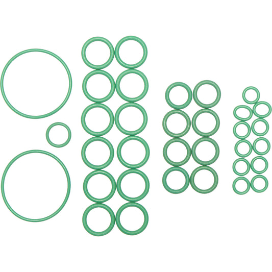 Rapid Seal Oring Kit