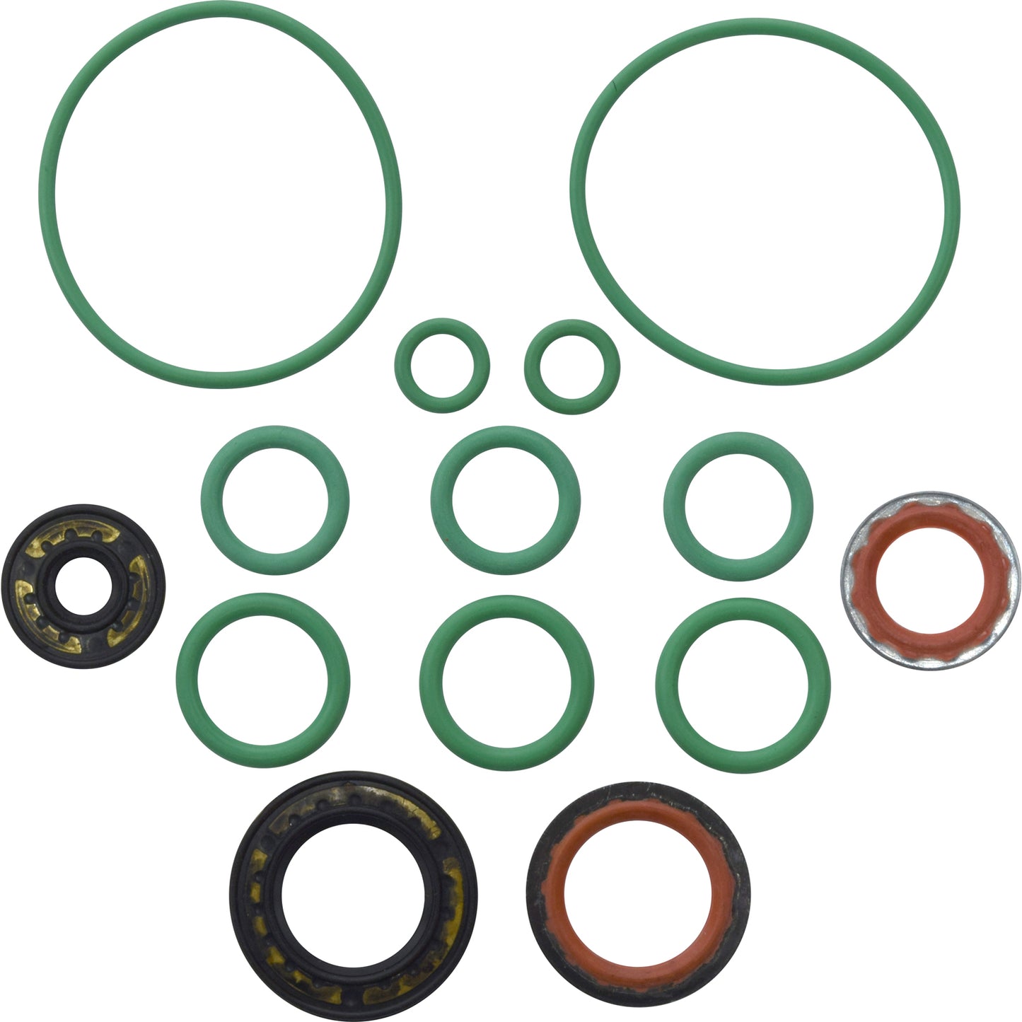 Rapid Seal Oring Kit