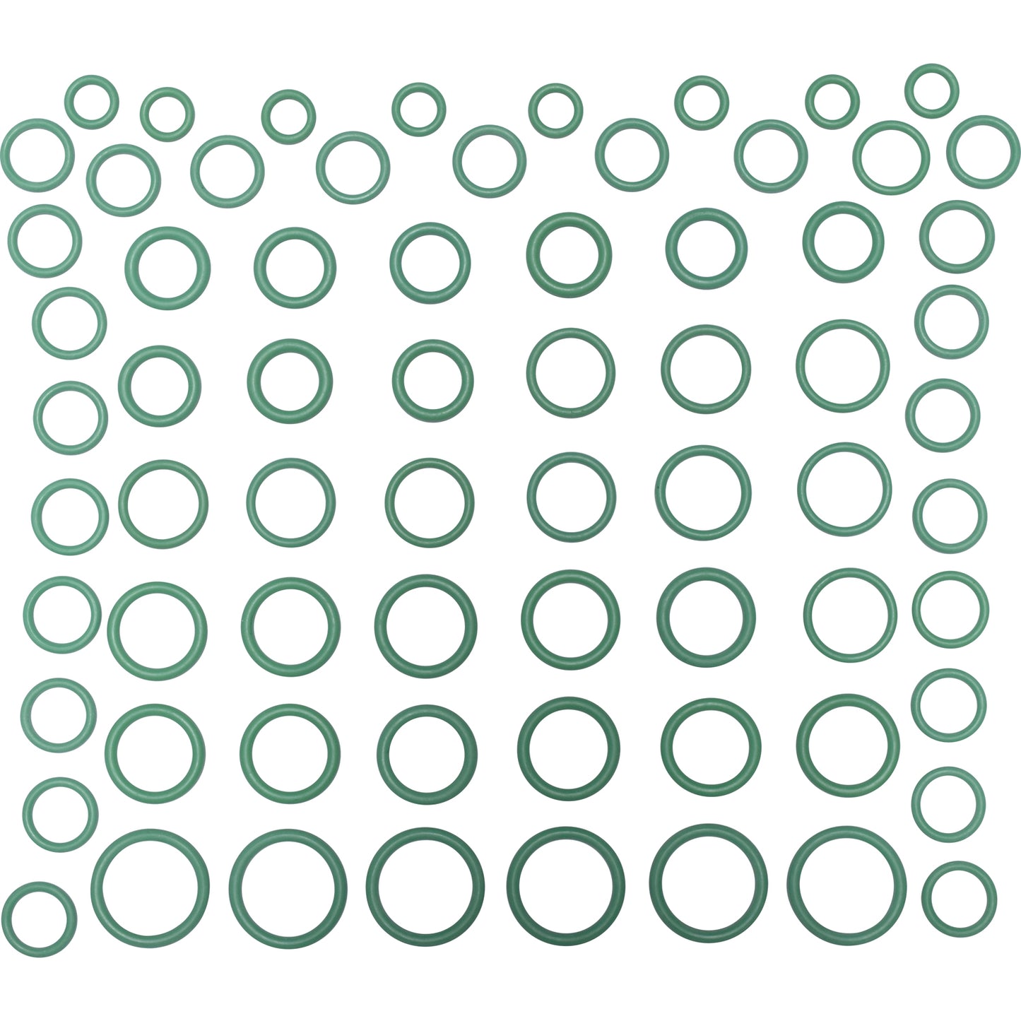 Rapid Seal Oring Kit