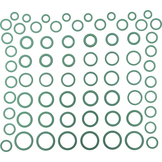 Rapid Seal Oring Kit