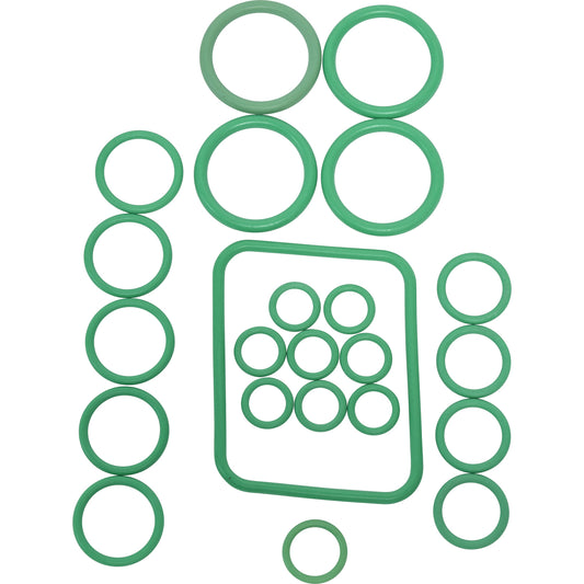 Rapid Seal Oring Kit