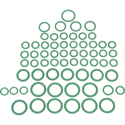 Rapid Seal Oring Kit