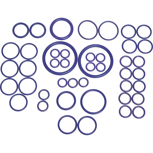 Rapid Seal Oring Kit