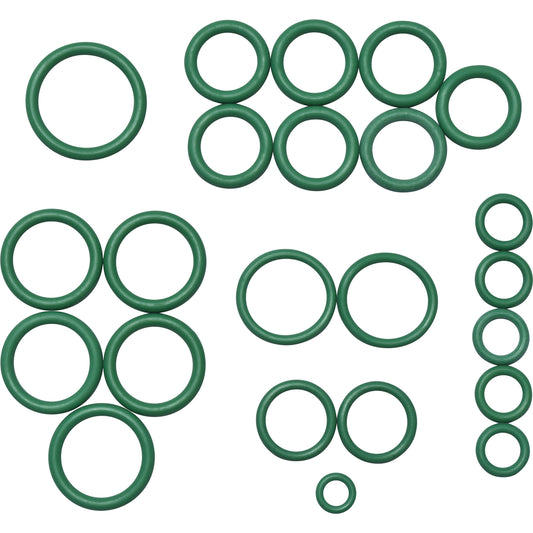 Rapid Seal Oring Kit