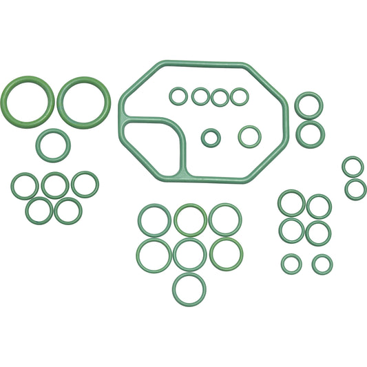 Rapid Seal Oring Kit