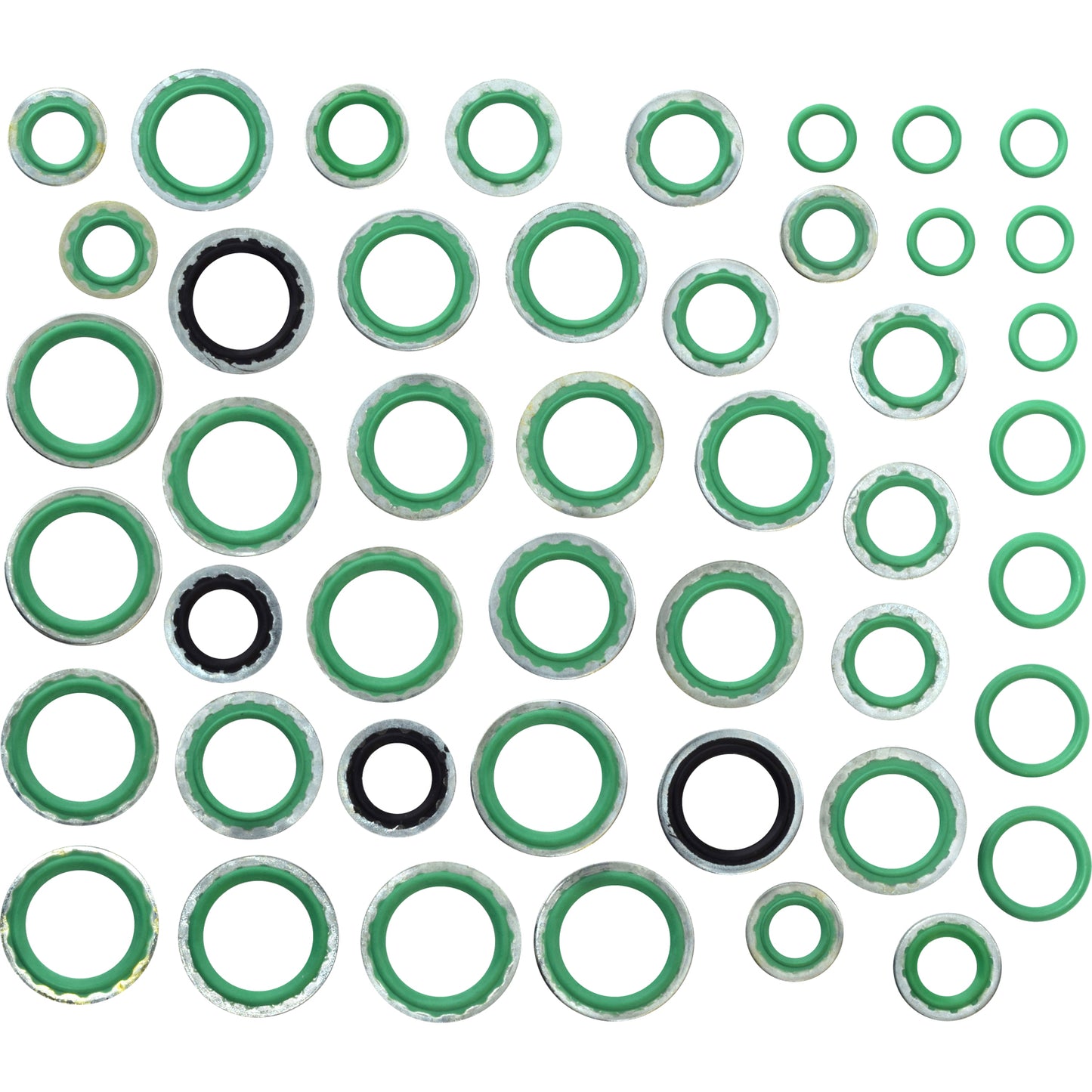 Rapid Seal Oring Kit