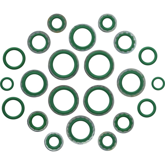 Rapid Seal Oring Kit