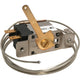 Thermostatic Switch
