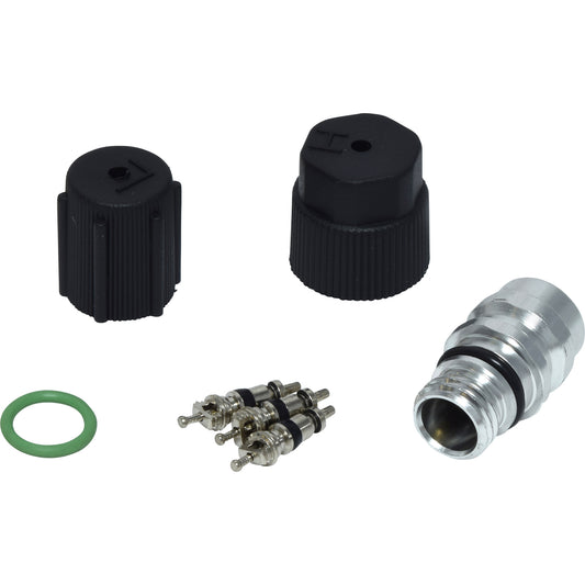 Valve and Cap Kit