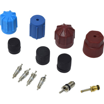 compare product Valve and Cap Kit