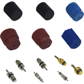 compare product Valve and Cap Kit