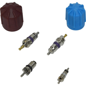compare product Valve and Cap Kit