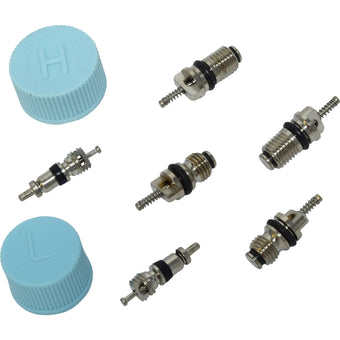 compare product Valve and Cap Kit