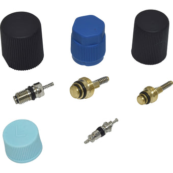 compare product Valve and Cap Kit